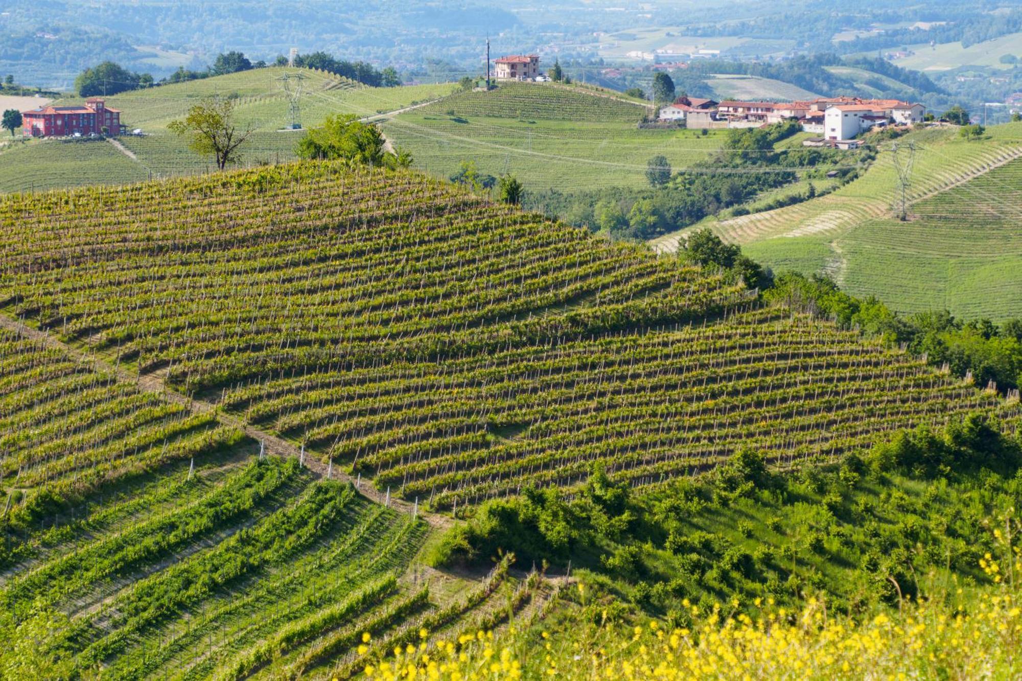 Casa Felice Villa Farigliano Luaran gambar