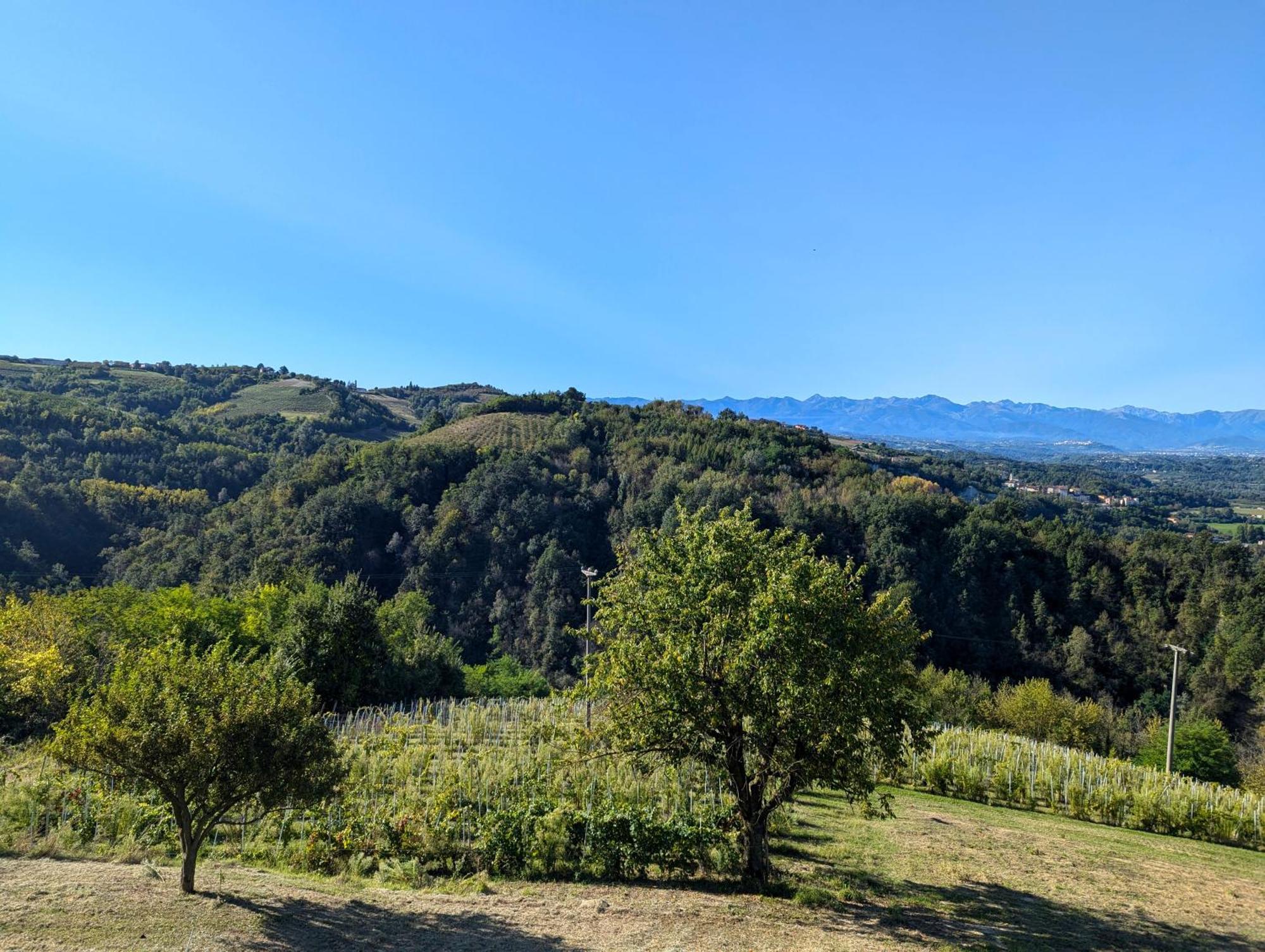 Casa Felice Villa Farigliano Luaran gambar